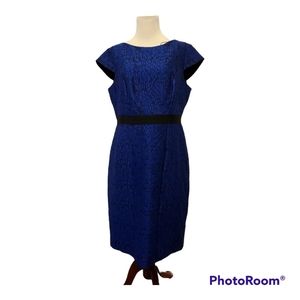 Elegant Royal Blue Cap-Sleeve Sheath Dress with Black Waistband